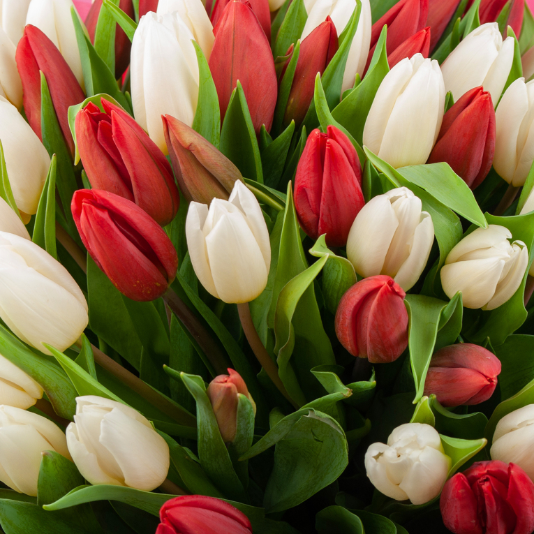 Букет 101 тюльпан Страсть и нежность