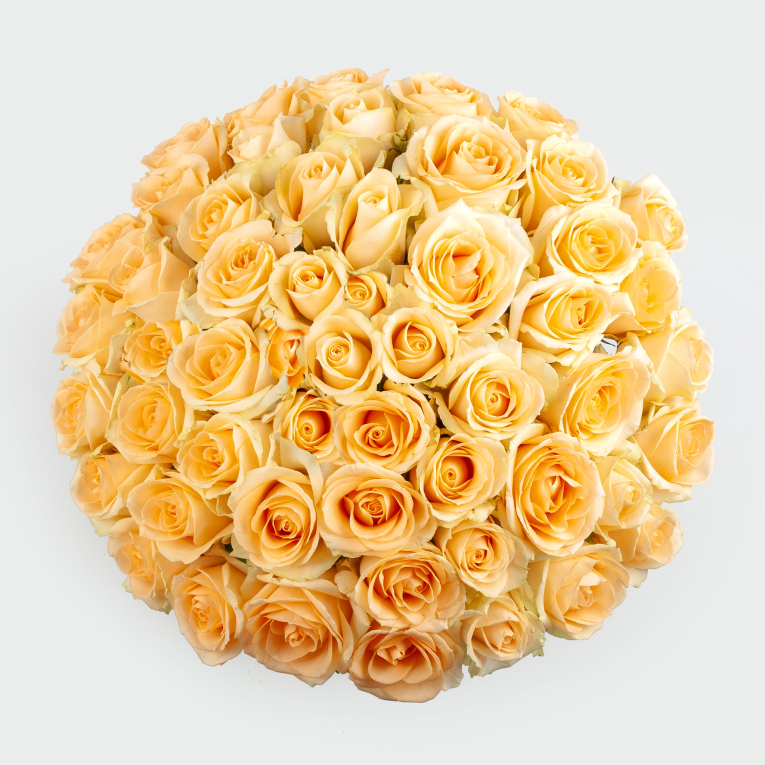 Букет из 51 розы Крем-брюле