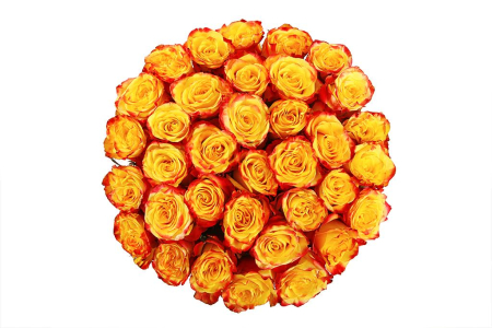 Букет 35 роз Хай Еллоу