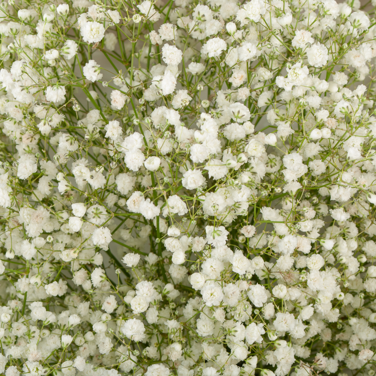 Букет Миллион звезд