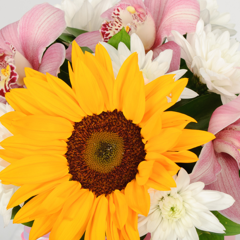 Букет в коробке Солнечная симфония