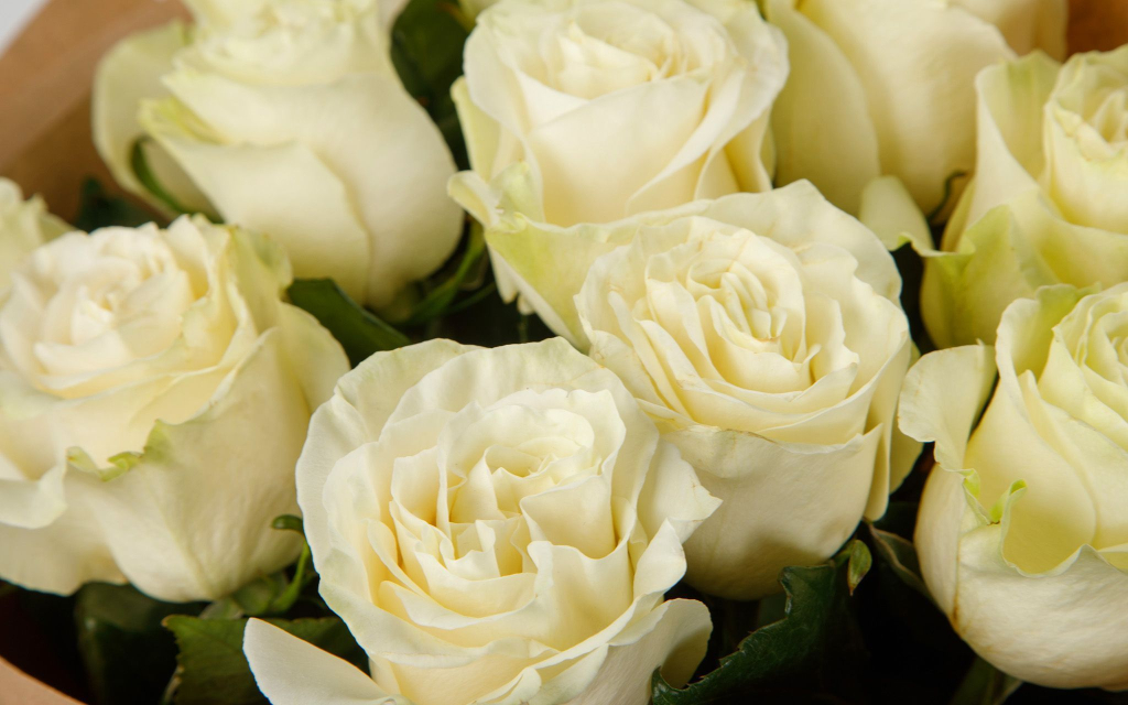 Букет 11 роз Мондиаль