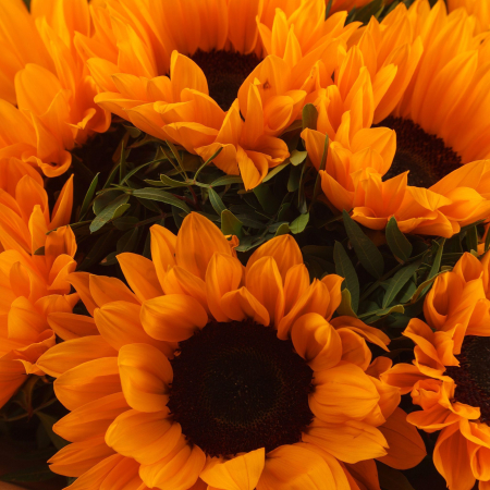 Букет с 11 подсолнухами Звездное лето