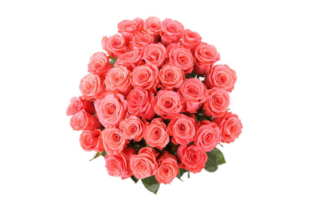 Букет 35 роз Амстердам