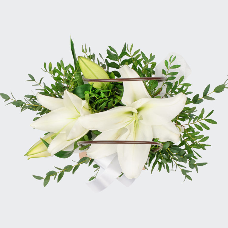 Композиция Изящество юности