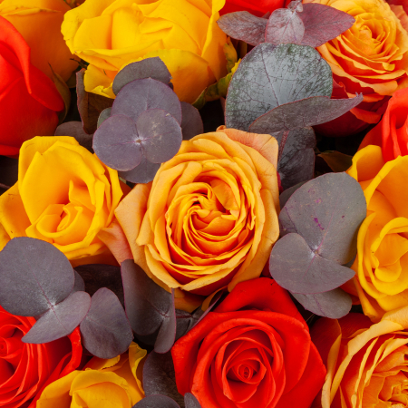 Букет роз Цветное настроение