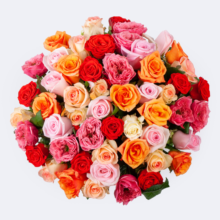 Букет из 51 розы Волшебный сон (40 см)