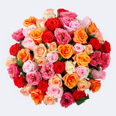 Букет из 51 розы Волшебный сон (40 см)