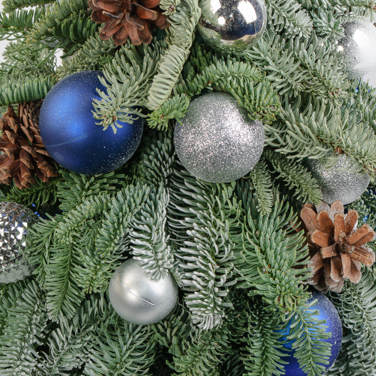 Композиция Чародейка