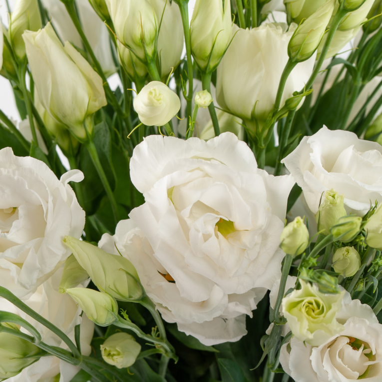 Букет белой эустомы Чувства Элен