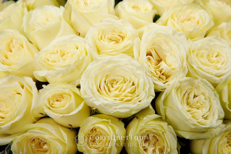 Композиция в корзине Парадиз