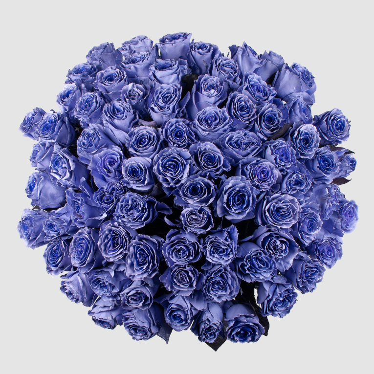 Букет 75 роз Сердце океана