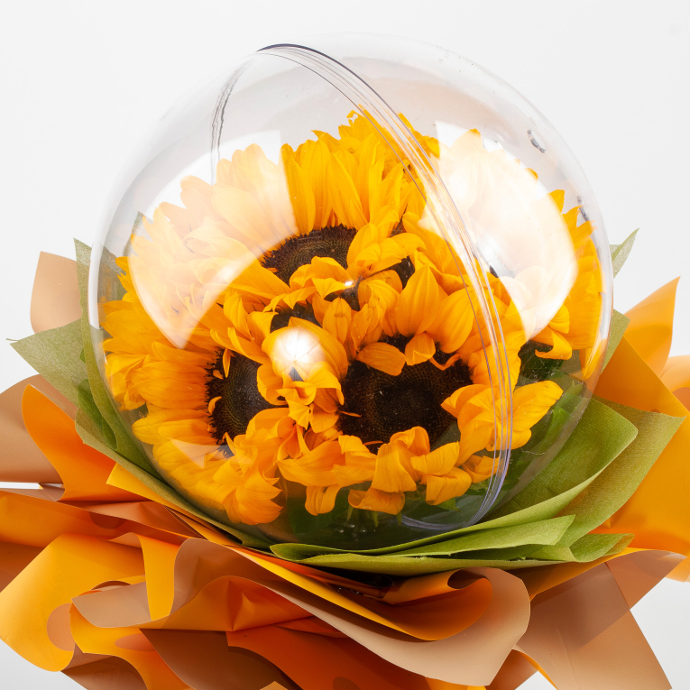 Композиция Солнечный круг