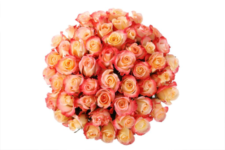 Букет 51 роза Кабаре в шляпной коробке