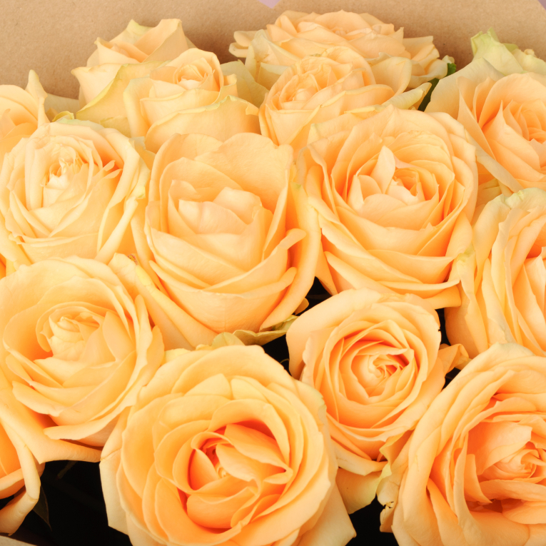 Букет из 19 роз Андромеда