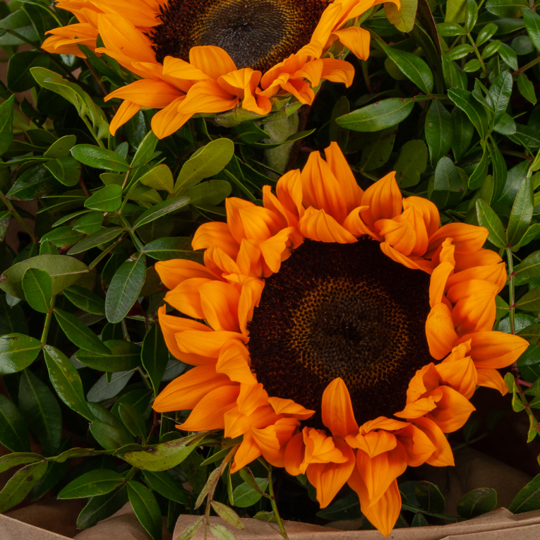 Букет с 5 подсолнухами Звездное лето