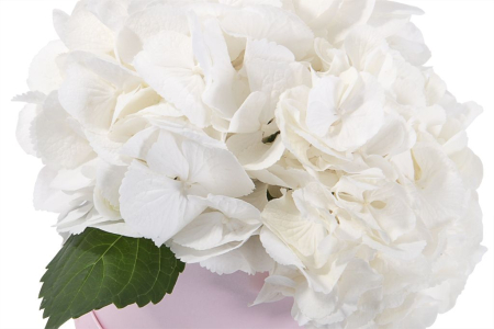 Букет Облако в коробке