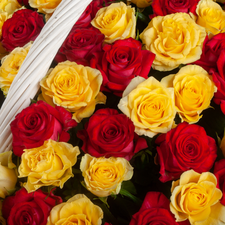 Букет в корзине Вспышки пламени (251 роза)