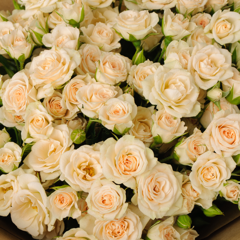 Букет из 19 кустовых роз Аврора