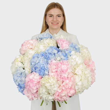 Букет 19 гортензий Цветочные облака