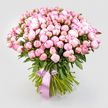 Букет из пионов 101 мгновение любви