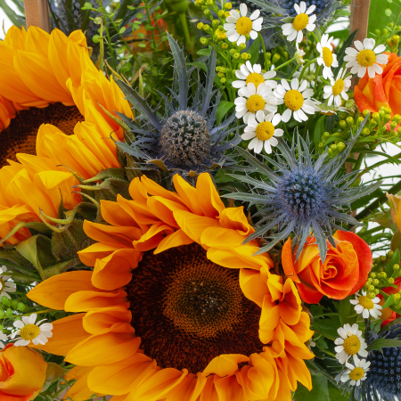 Букет в кашпо Солнечное утро