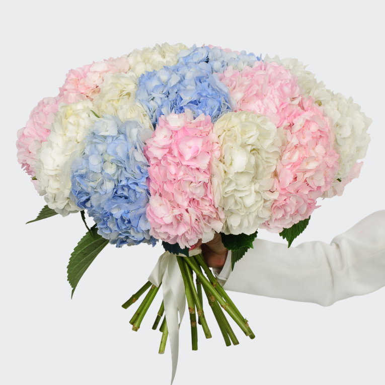 Букет 21 гортензий Цветочные облака