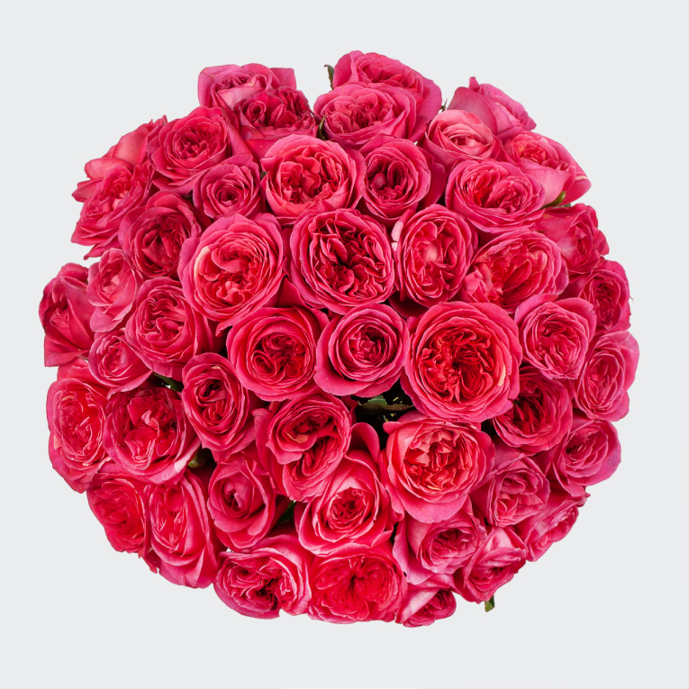 Букет 51 роза Малиновое лето