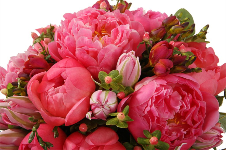 Букет с пионами Белиссимо в коробке