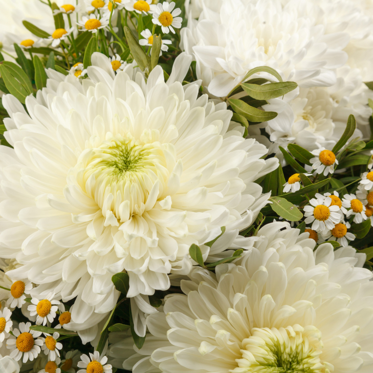 Букет Белый бархат (миди)