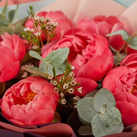 Букет из 7 пионов Санта Лючия