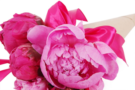 Букет из пионов Сердцу не прикажешь