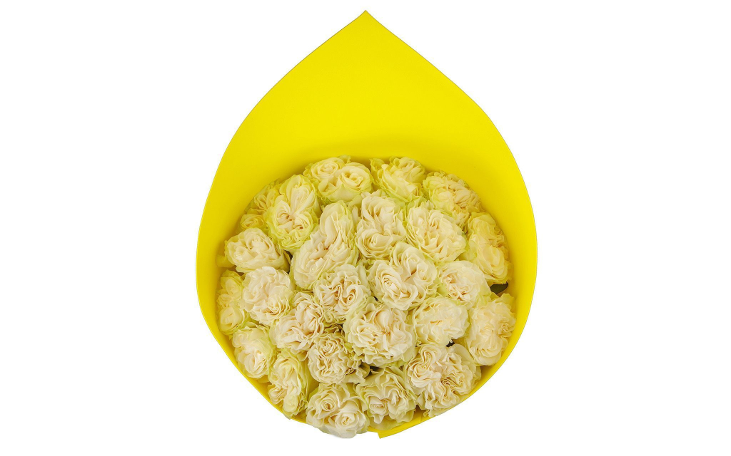 Букет 25 роз Мондиаль Розаприма