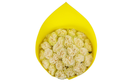 Букет 25 роз Мондиаль Розаприма