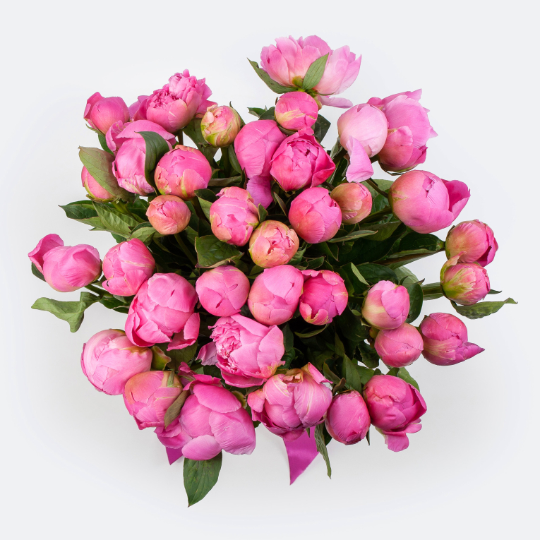 Букет из 35 пионов Розовая призма
