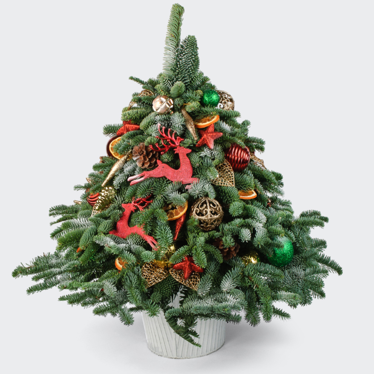 Композиция Новая сказка