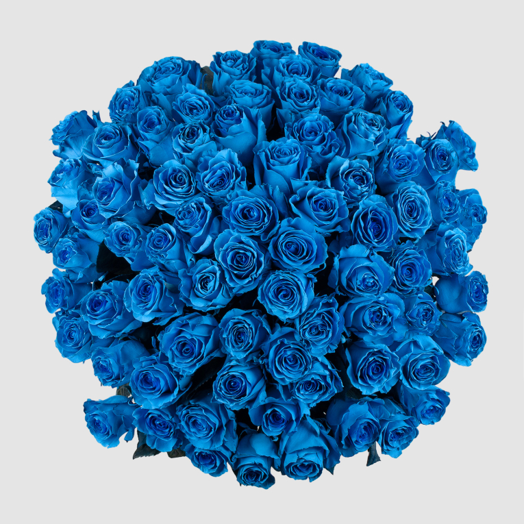 Букет 75 роз Поцелуй Мальвины