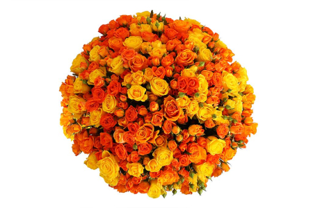 Букет Пламя любви, 101 роза микс