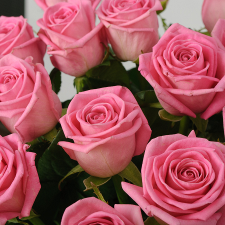 Букет 21 роза Розовая звезда