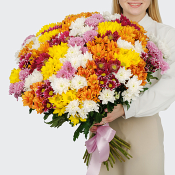 Букет 51 кустовая хризантема микс