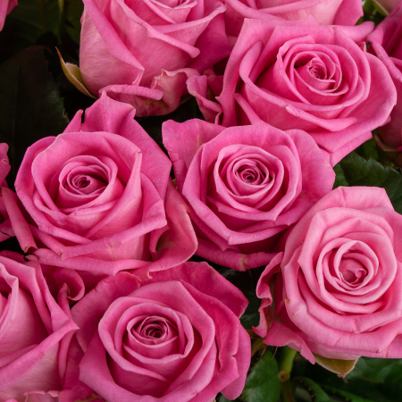 Букет из 35 роз Цвет сердца