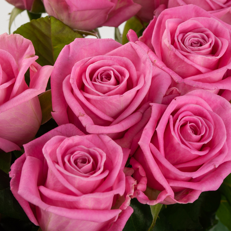 Букет из 25 роз Цвет сердца