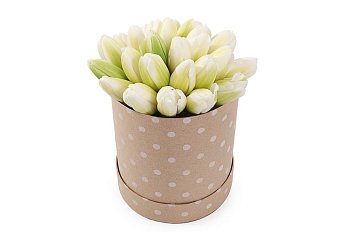 Букет 25 королевских тюльпанов в бежевой коробке, белые