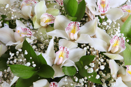 Букет с орхидеями Симфония в корзине