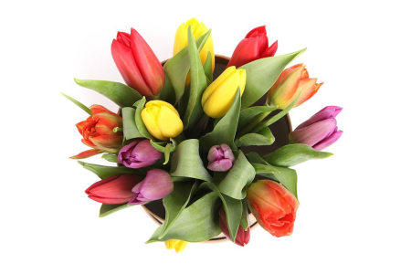 Букет 15 тюльпанов микс в шляпной коробке (горошек)