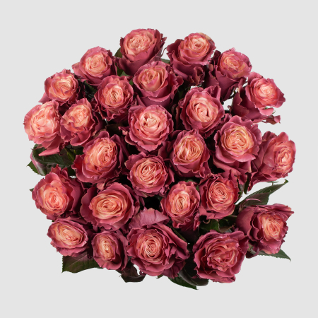 Букет 25 роз Кипение чувств