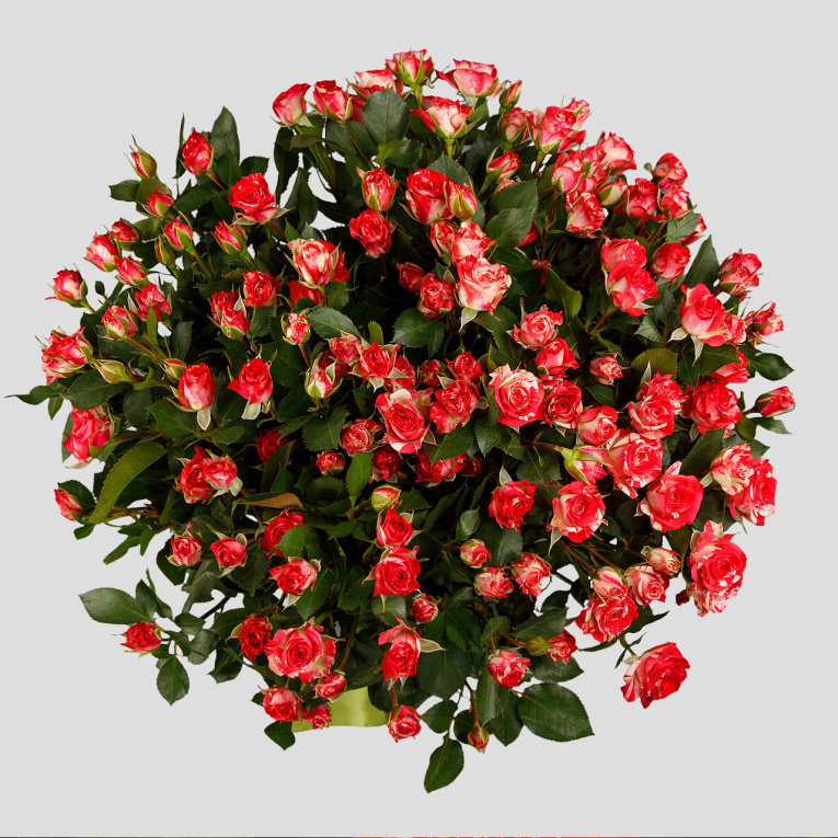 Букет 15 кустовых роз Фаер воркс