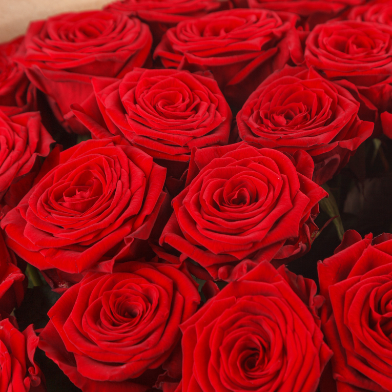 Букет из 35 роз Люблю тебя