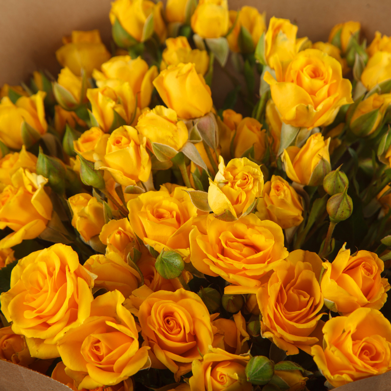 Букет кустовых роз Солнечное настроение