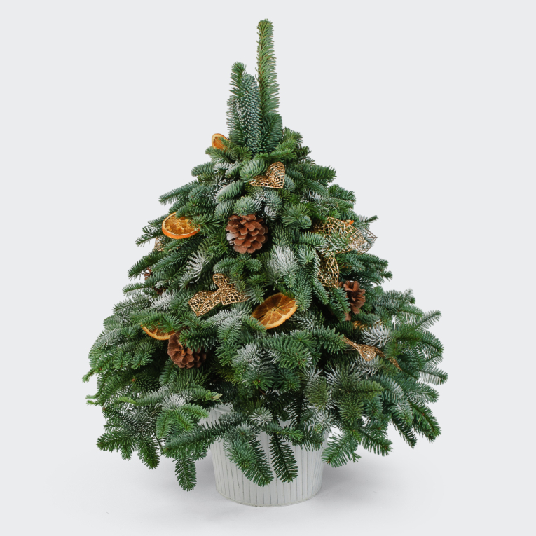 Композиция Зимние чудеса